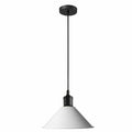 White Pendant Lamp Industrial style Decorative Ceiling lamp~1541